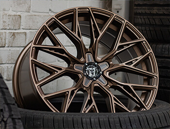 Wolfrace Wolfsburg GTR Racing Bronze 18
